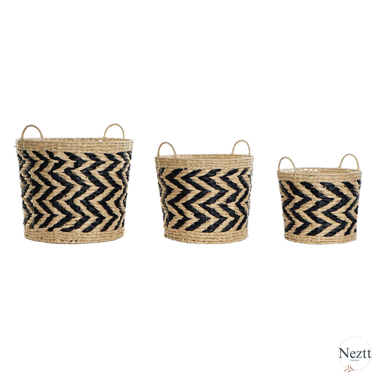 V9HEF31161549CA4F2F21FADBD4A6BE5DBBR3662187P1