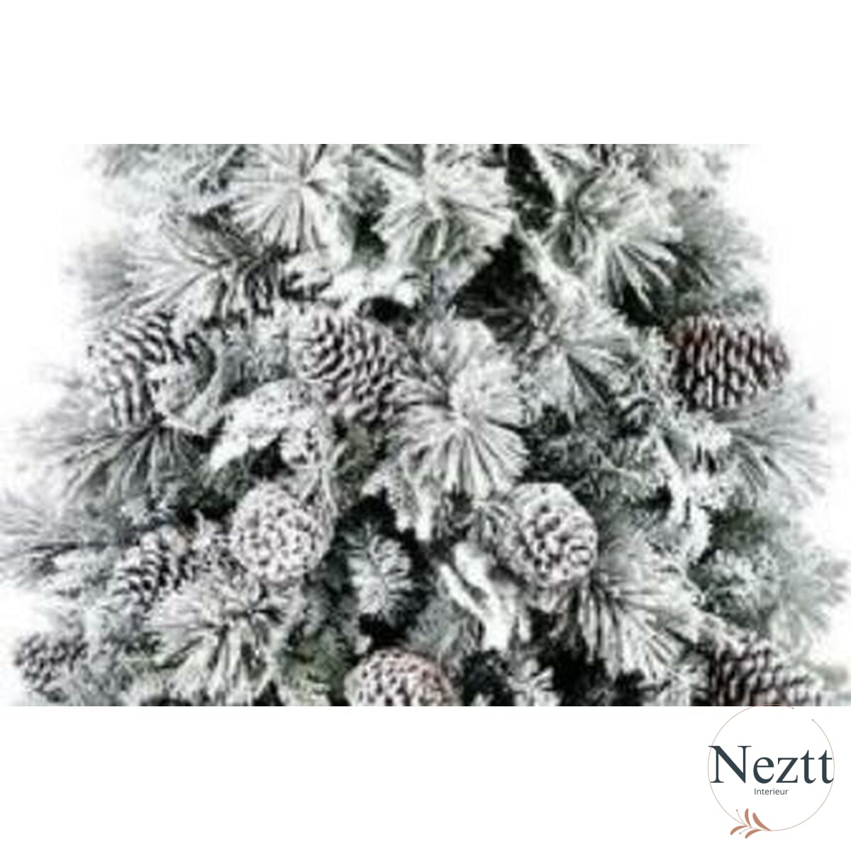 V2HA7758D3FDBFD294AE03BC7B27618958CR7152668P1