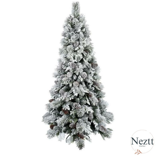 V2H2644ECBF0A0C79BF9E0F9D7098AD966BR7153134P2