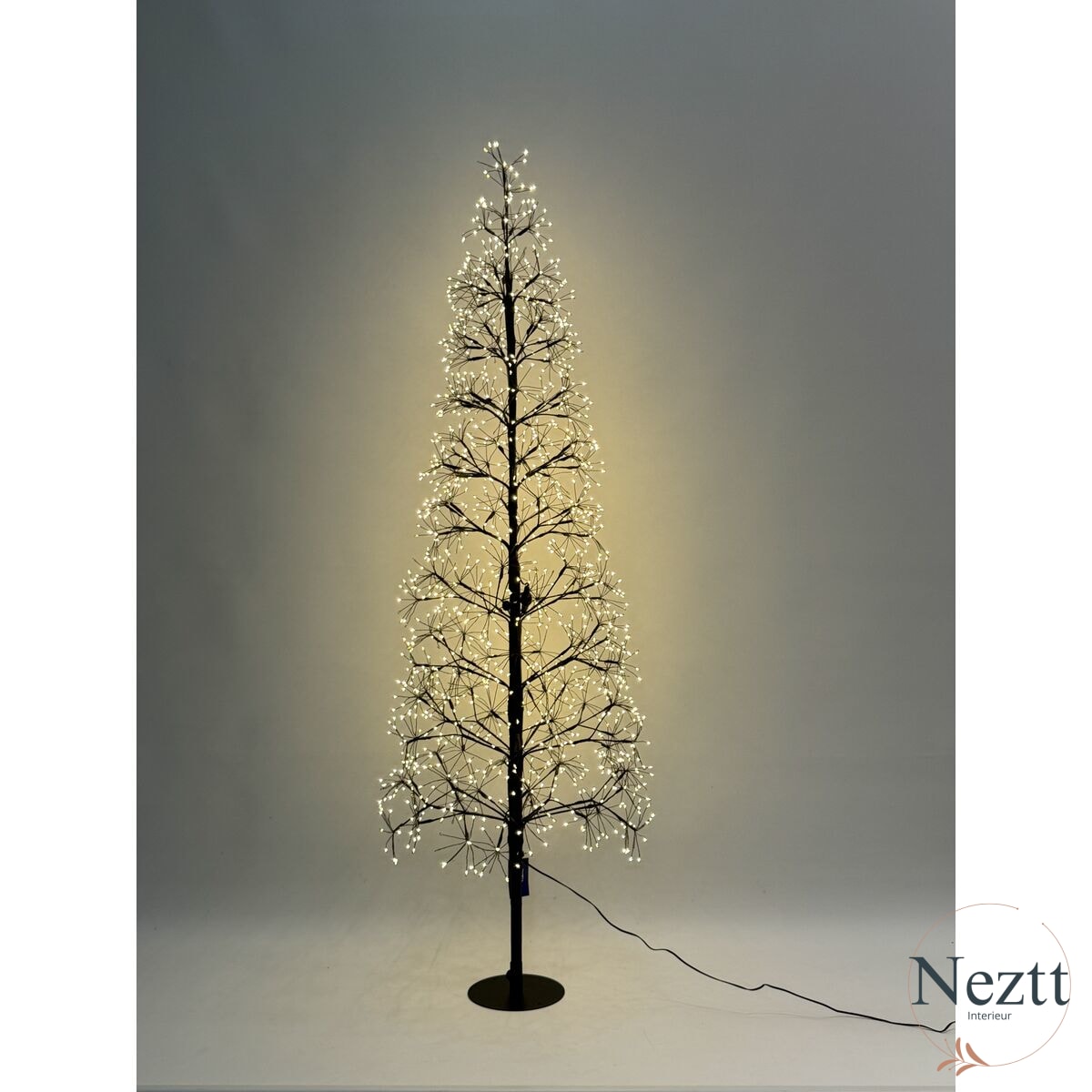 V2H79BC2C597DCD2F743847A11FB5564C5DR7152944P1