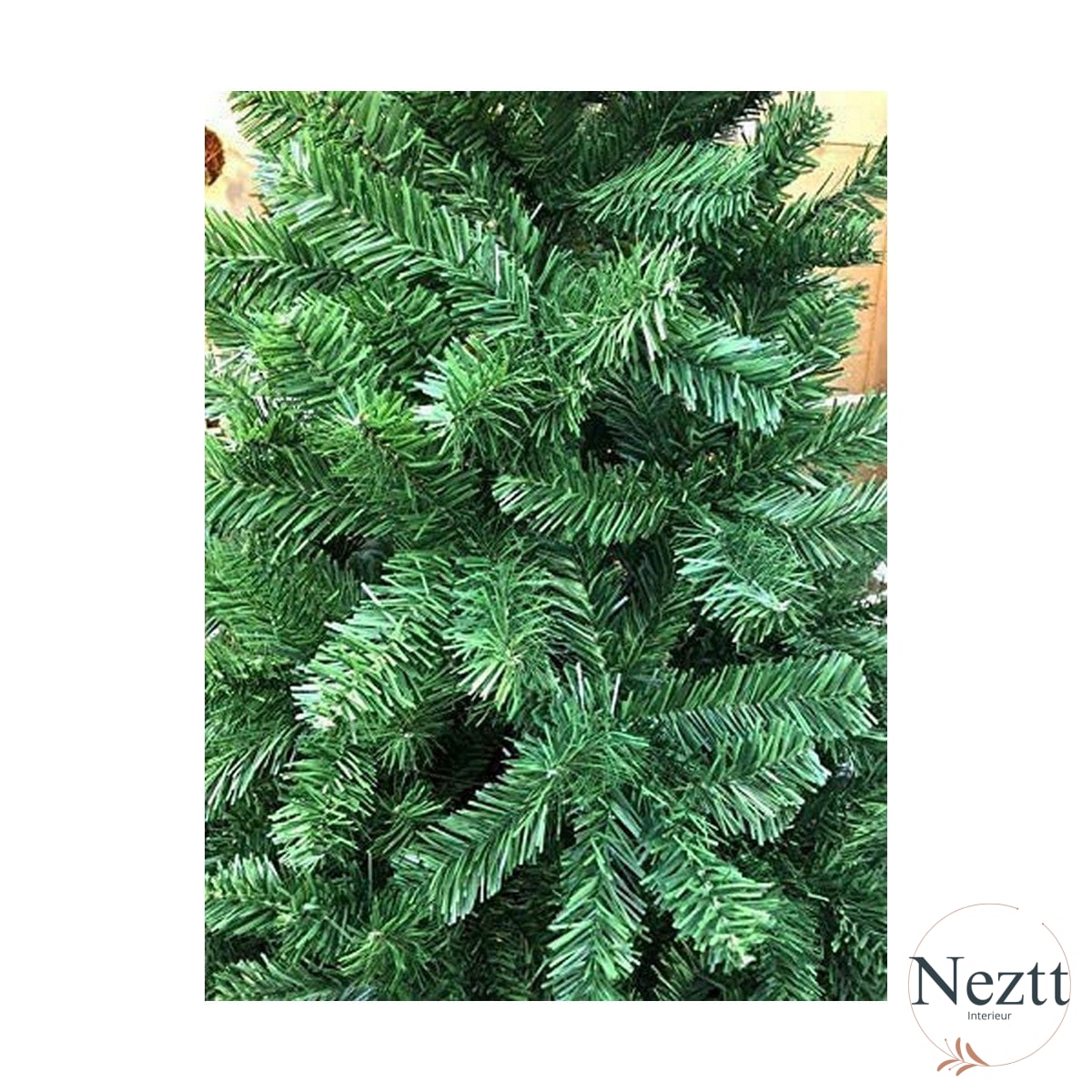 V8H32BB306A00DEDA081D026A60DB6EF927R5156691P4